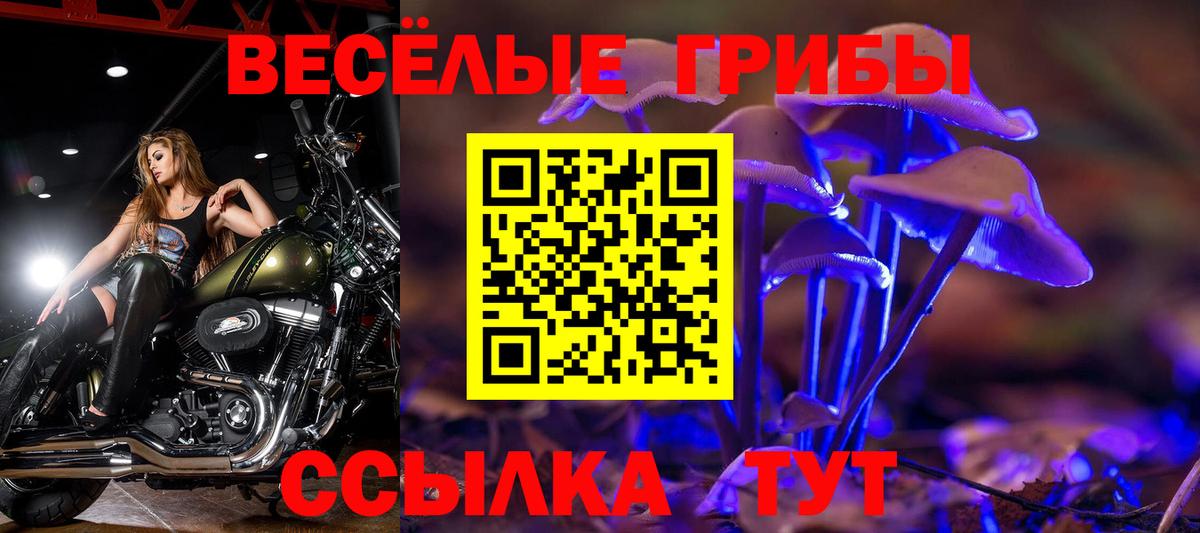 Галлюциногенные грибы мицелий Минеральные Воды