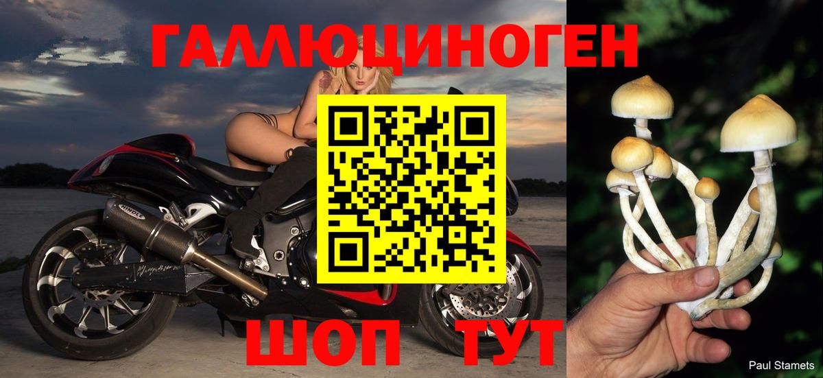 Минеральные Воды  Псилоцибиновые грибы MAGIC MUSHROOMS  как найти   Вход с VPN 